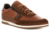 Geox U Renan A In Brown for Men